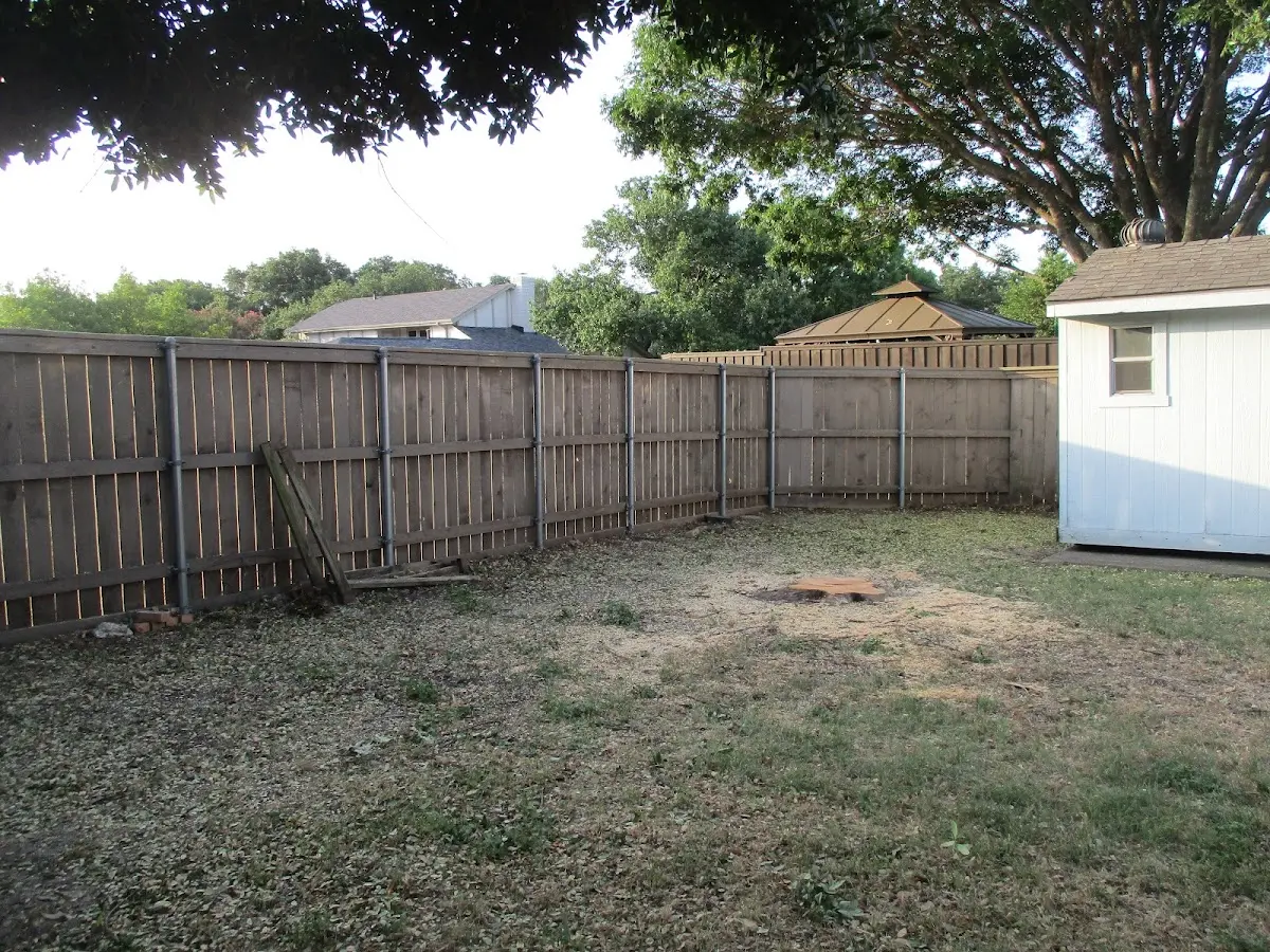 Cleared yard after professional tree removal in Mcgregor